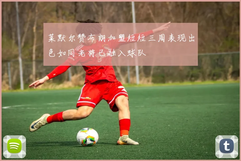 莱默尔赞布朗加盟短短三周表现出色如同老将已融入球队
